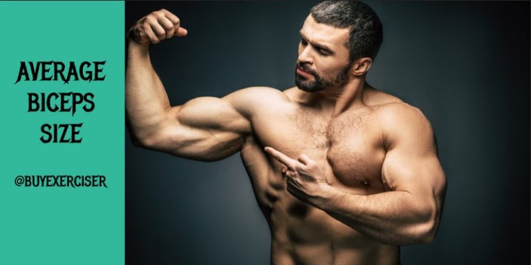 what-is-the-average-bicep-size-for-men-women