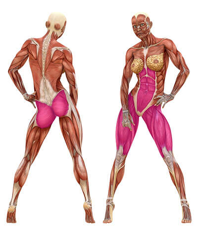 What Muscles Does Squats Workout